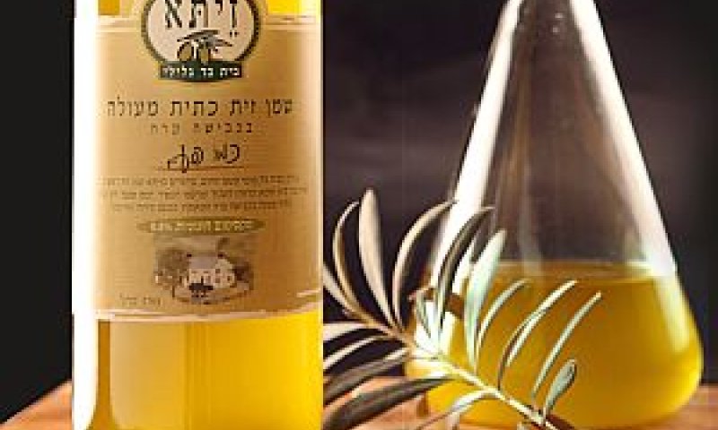 יעילות מוכחת [צילום: דניאל לילה-יח"צ]