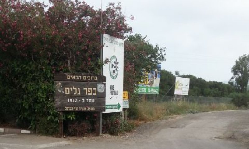 200 מתוך 900 דונם [צילום: ניר ודל]