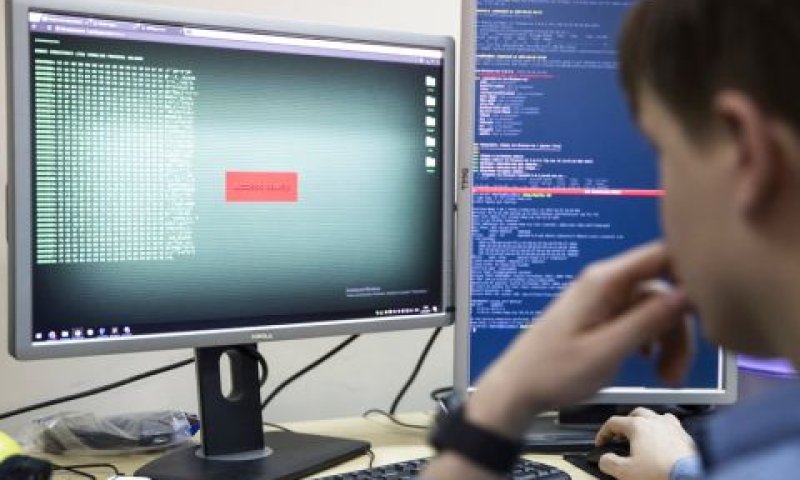אתרים ברבבות שקלים [צילום: פאבל גולובקין, AP]