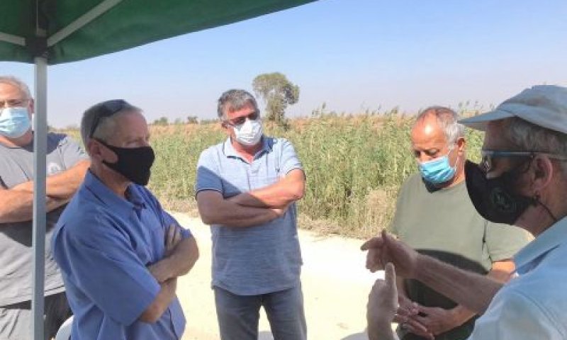 שפעת העופות במושב רם און