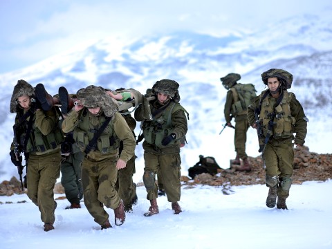 [צילום: דו"צ]