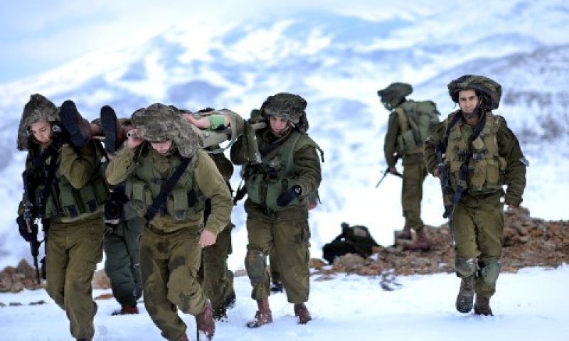 [צילום: דו"צ]