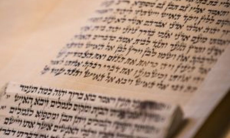 [צילום: מיכה בונד-פלאש 90]