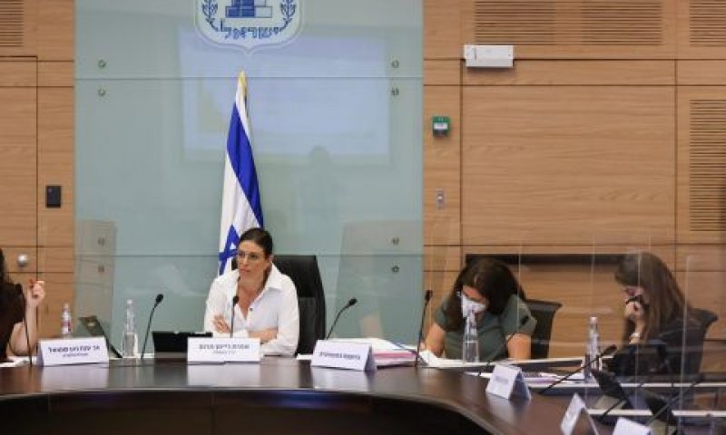 הדיון בוועדת העבודה והרווחה [צילום: נועם מושקוביץ, דוברות הכנסת]
