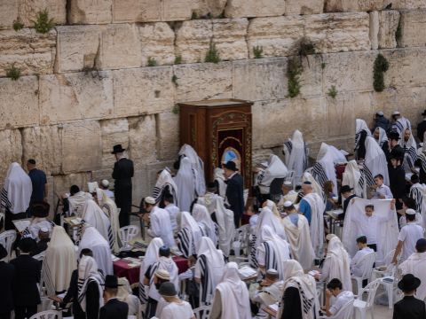 שבע שנים נגד קבצנית [צילום: יונתן זינדל, פלאש 90]