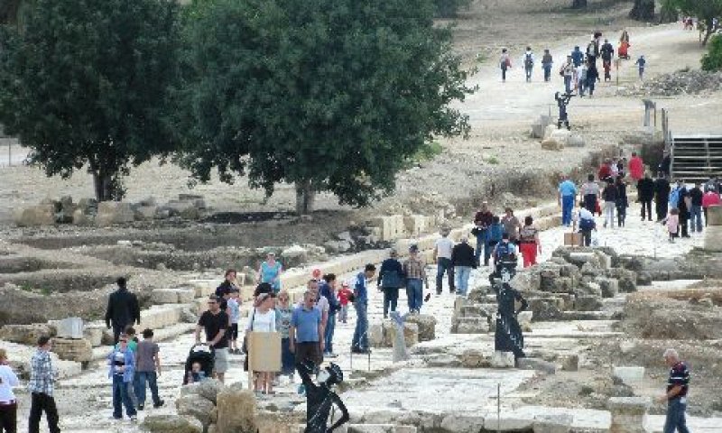 ציפורי. סככה לגידול עופות [צילום: מיטל אהרון]
