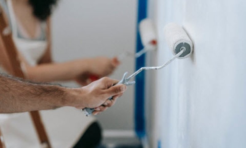 [צילום: pexels]