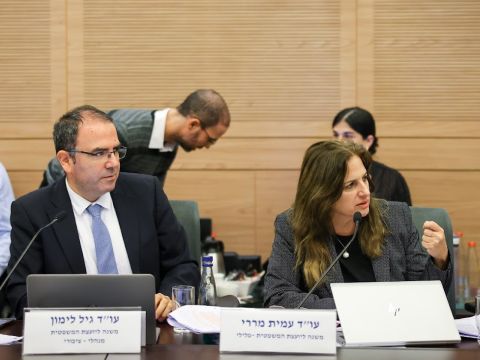 עמית מררי וגיל לימון [נועם מושקוביץ/דוברות הכנסת]