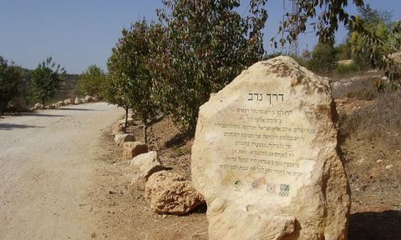 רכס לבן. הייעוד ישתנה [צילום: אבישי טייכר]
