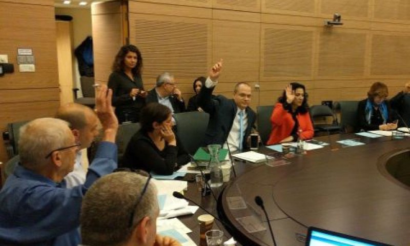 ההצבעה בוועדת חוקה חוק ומשפט [צילום: דוברות הכנסת]