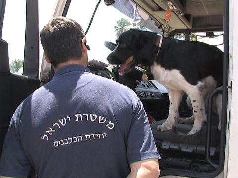 [צילום: עמותת אור ירוק]