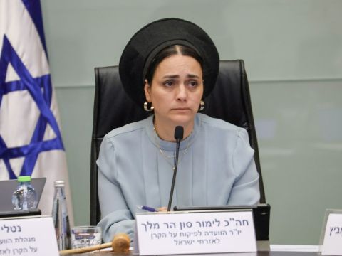 [צילום: דני שם-טוב/דוברות הכנסת]