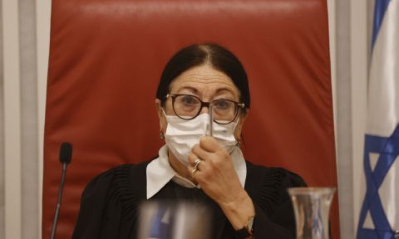 חיות. החדשנות של מלצר [צילום: יונתן זינדל, פלאש 90]