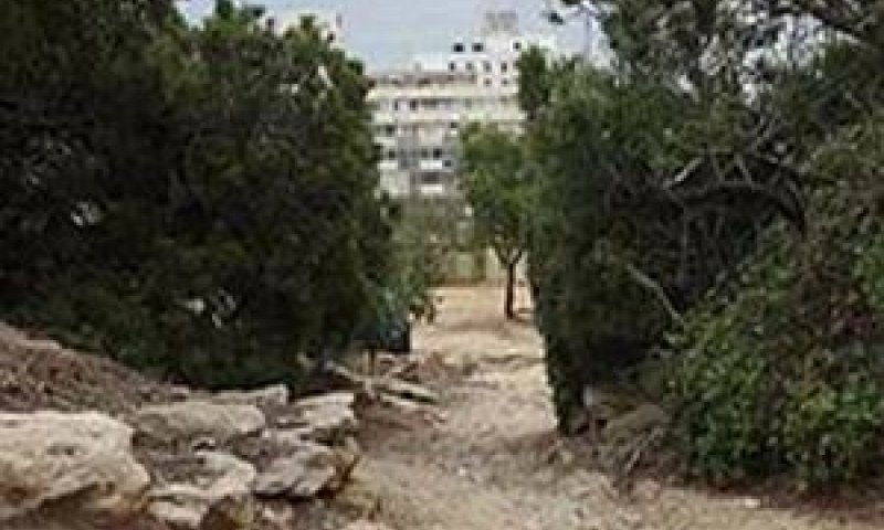 [צילום: אסף עברון]