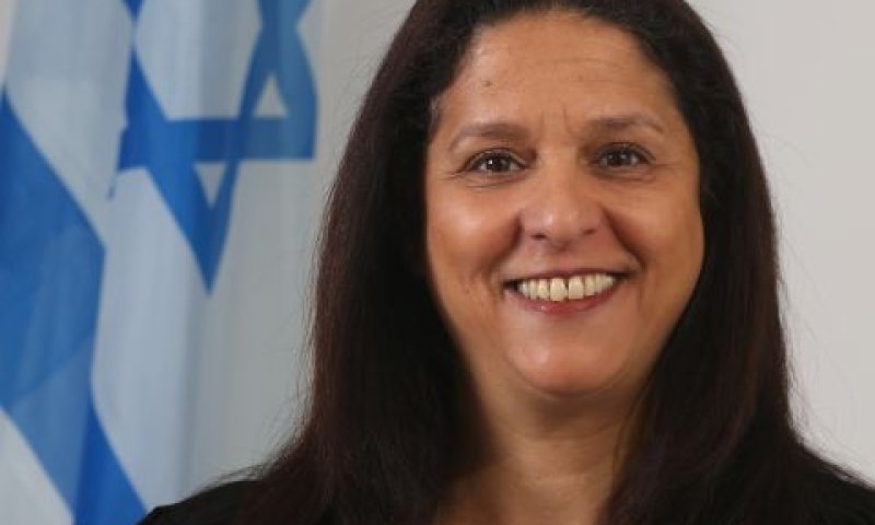 ערקובי. בעקבות קדם-המשפט