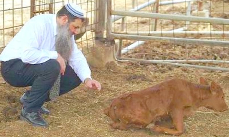 [צילום: לע"מ]