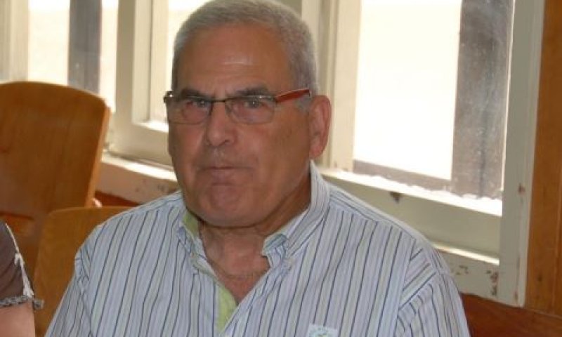 אלוני. א"י היפה [צילום: דוד עינב]
