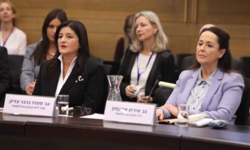 אירית איזקסון וסמדר ברבר צדיק [צילום: נועם פנטון רבקין/דוברות הכנסת]