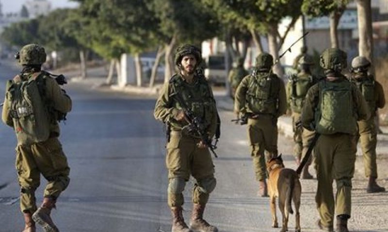 דרישה לשוויון [צילום: מג'די מוחמד/AP]