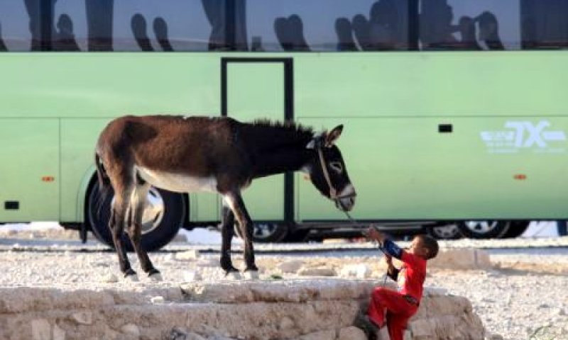 ישובי הבדואים בנגב יזכו להנחה חריגה [צילום: פלאש 90]
