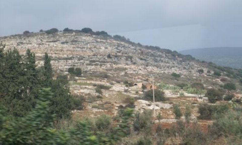 תמונות גם לגורמים חיצוניים