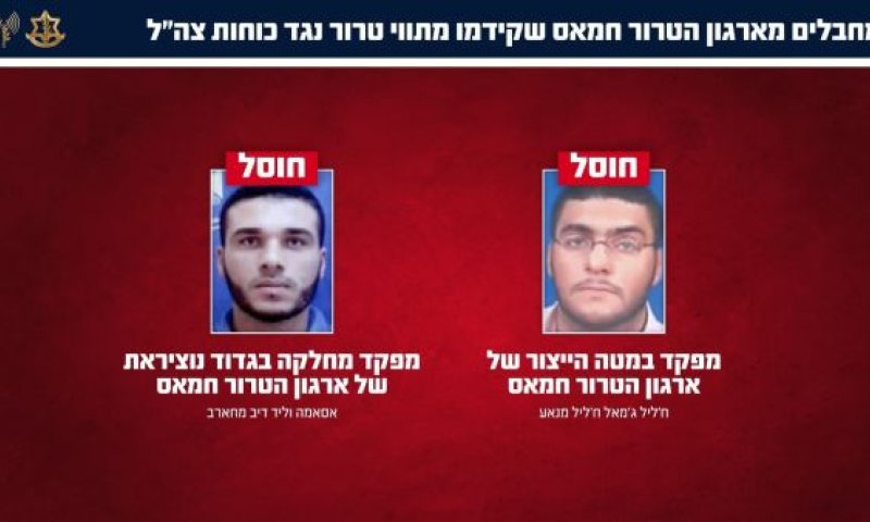[צילום: דובר צה"ל]