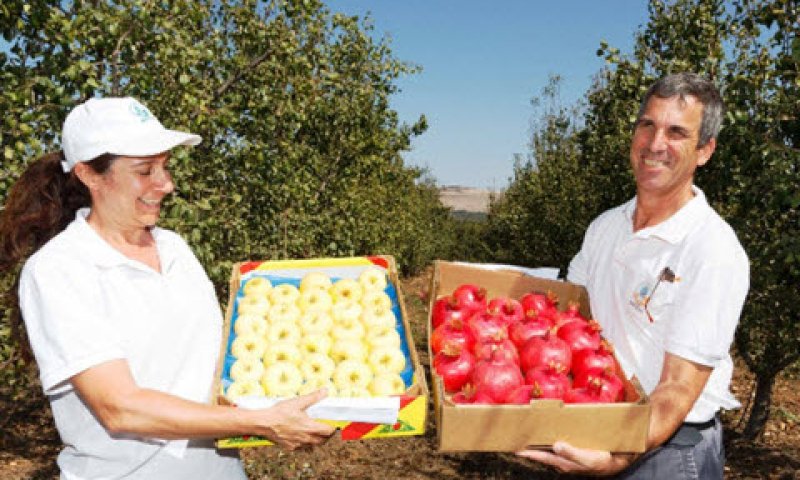 [צילום: מו"פ צפון, החברה לפיתוח הגליל]