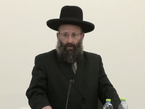 הרב רבינוביץ היום בוועדה. "עלילות הזויות" [לע"מ]