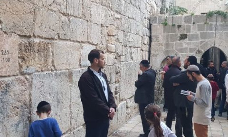 [צילום: מרים אלסטר/פלאש 90]