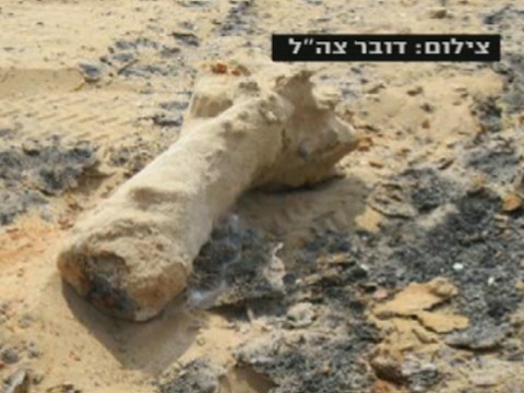 [צילום: מן הטלוויזיה]