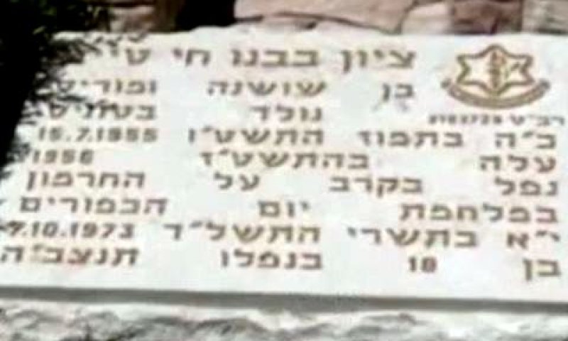 קברו של טייב. ארון ריק [צילום: מן הטלוויזיה]