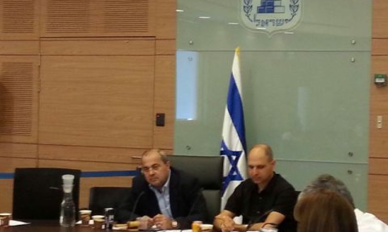 ח"כ טיבי בוועדת הכספים [צילום: דוברות ועדת הכספים]