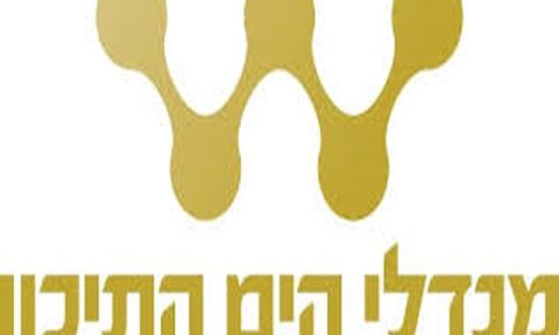 "עיקר הונו של הדייר"