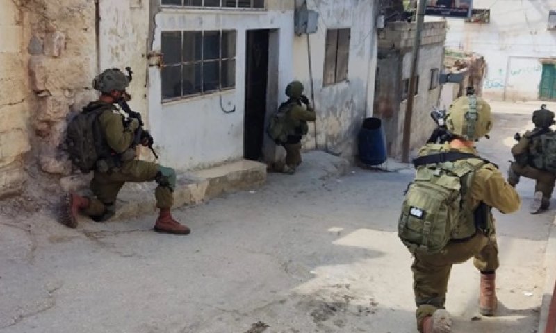 כוחות צה"ל בפעילות בשומרון [צילום: דובר צה"ל]