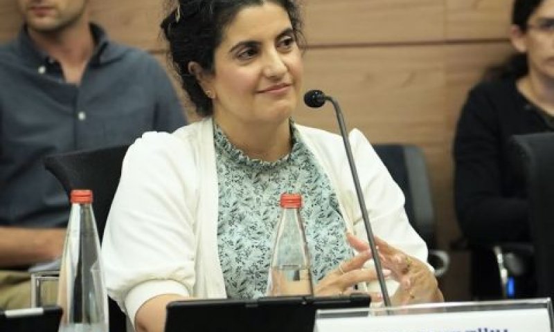 אפיק. שאלות מורכבות שלא קיבלו מענה [צילום: דני שם-טוב, דוברות הכנסת]