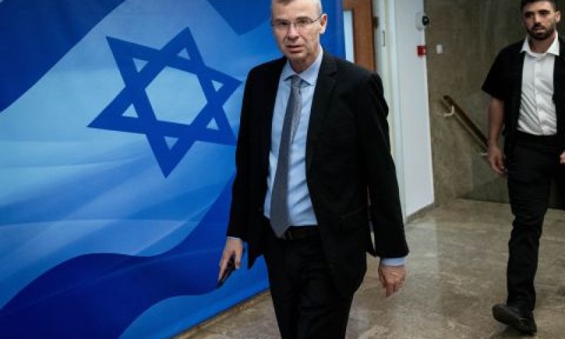 לוין. אין צורך באישור הוועדה [צילום: חיים גולדברג, פלאש 90]