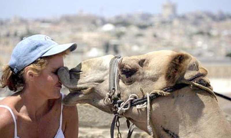 נשיקה תיירותית [צילום: פלאש 90]