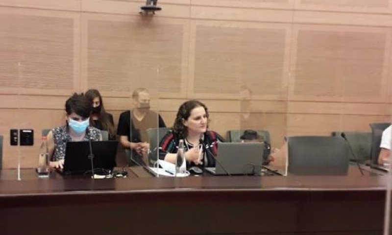 אילנה גנס בדיון בוועדב [צילום: דוברות הכנסת]