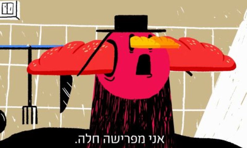 סרטון מיזם חופות