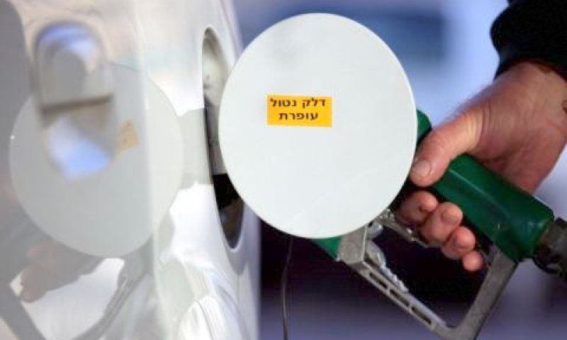 [צילום: פלאש 90]