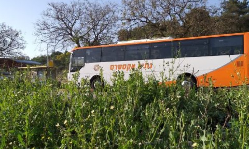 קו בכרמיאל. היתר לנסוע בשבת בלי נוסעים