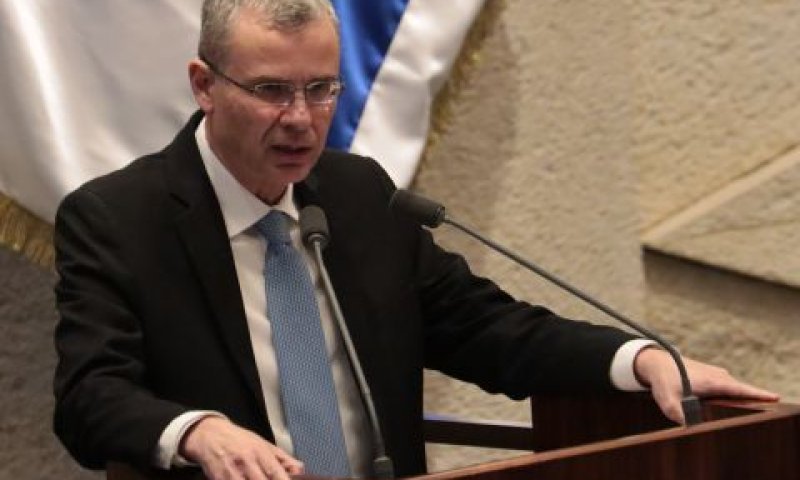 לוין. לא לכל המתמחים הצלחנו לתת פתרון [צילום: דני שם-טוב/דוברות הכנסת]