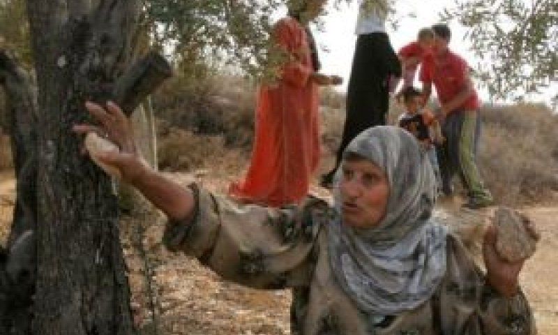 מסיק. לא ברור מי תקף ראשון [צילום: AP]