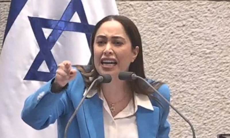 גולן. חילופי מהלומות מילוליות [צילום: ערוץ כנסת]