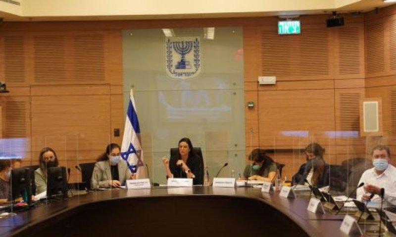 הדיון בוועדת העבודה [צילום: דני שם-טוב, דוברות הכנסת]