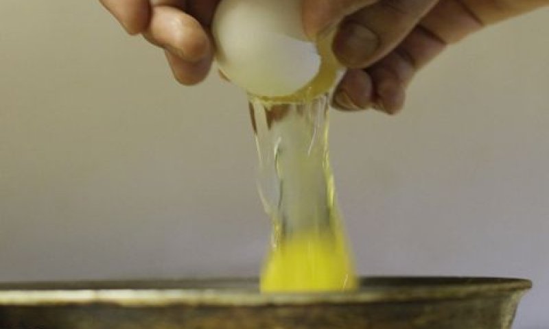 [צילום: ספנסר גרין/AP]