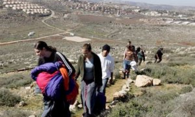 מאחזים בשומרון[צילום: AP]
