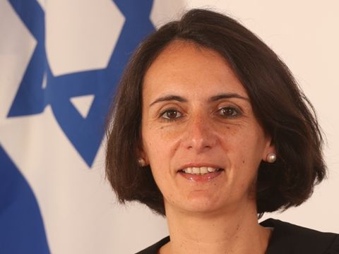 לוין. הסבל גדול מנשוא [צילום: בוצ'צ'ו]