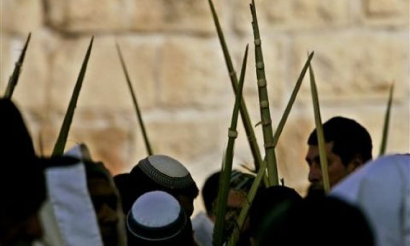 מתפללים בכותל עם ארבעת המינים [צילום: AP]