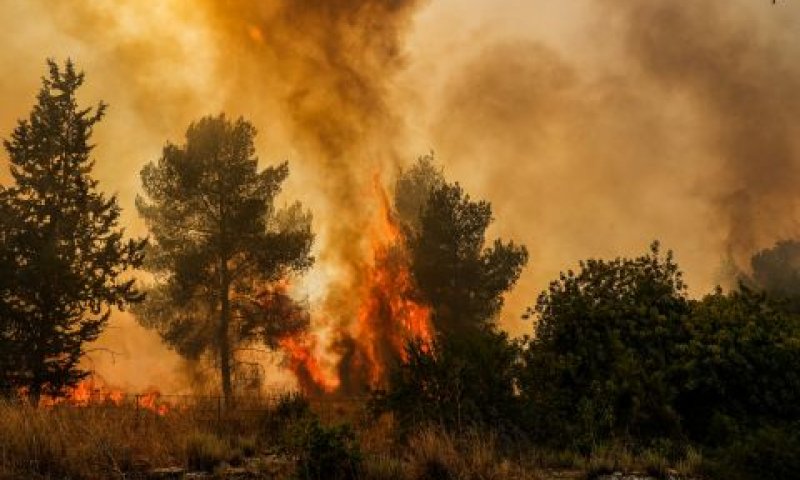 אם בכלל חוקרים - אזי באיחור ניכר [צילום: אייל מרגולין, פלאש 90]